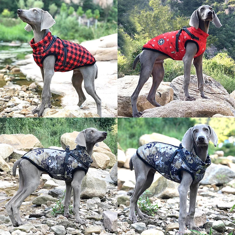 Durable and Waterproof Dog Coat with Harness