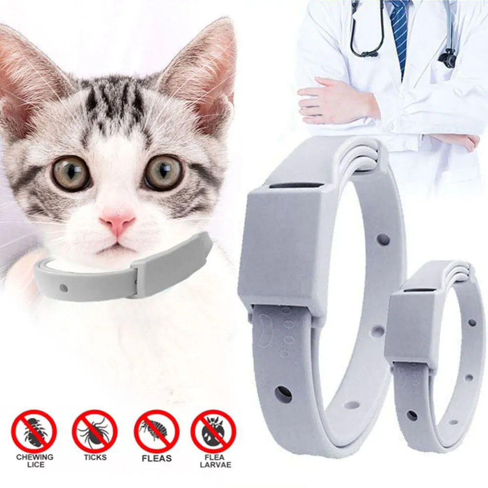 Stylish Flea and Tick Collar for Dogs and Cats