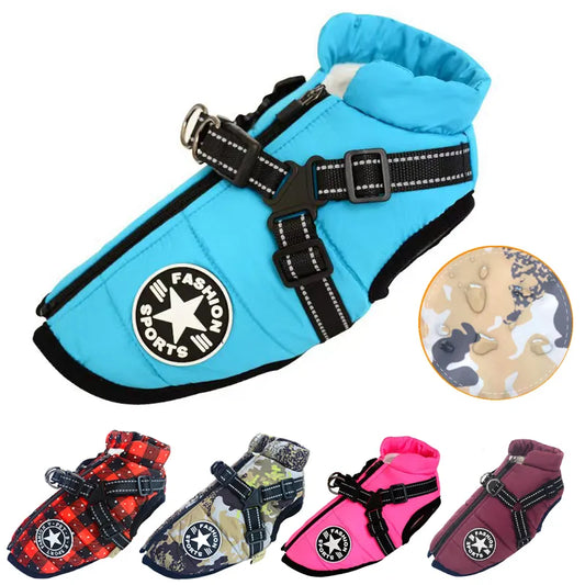 Durable and Waterproof Dog Coat with Harness