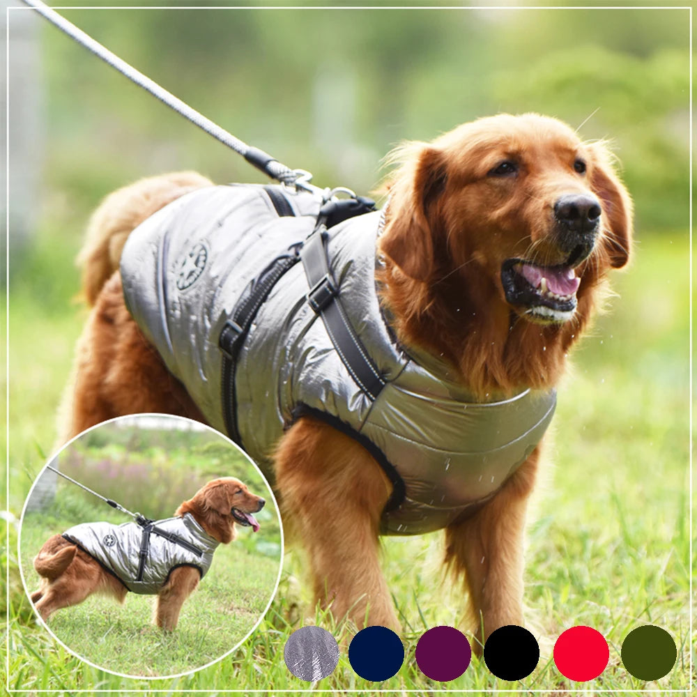 Durable and Waterproof Dog Coat with Harness